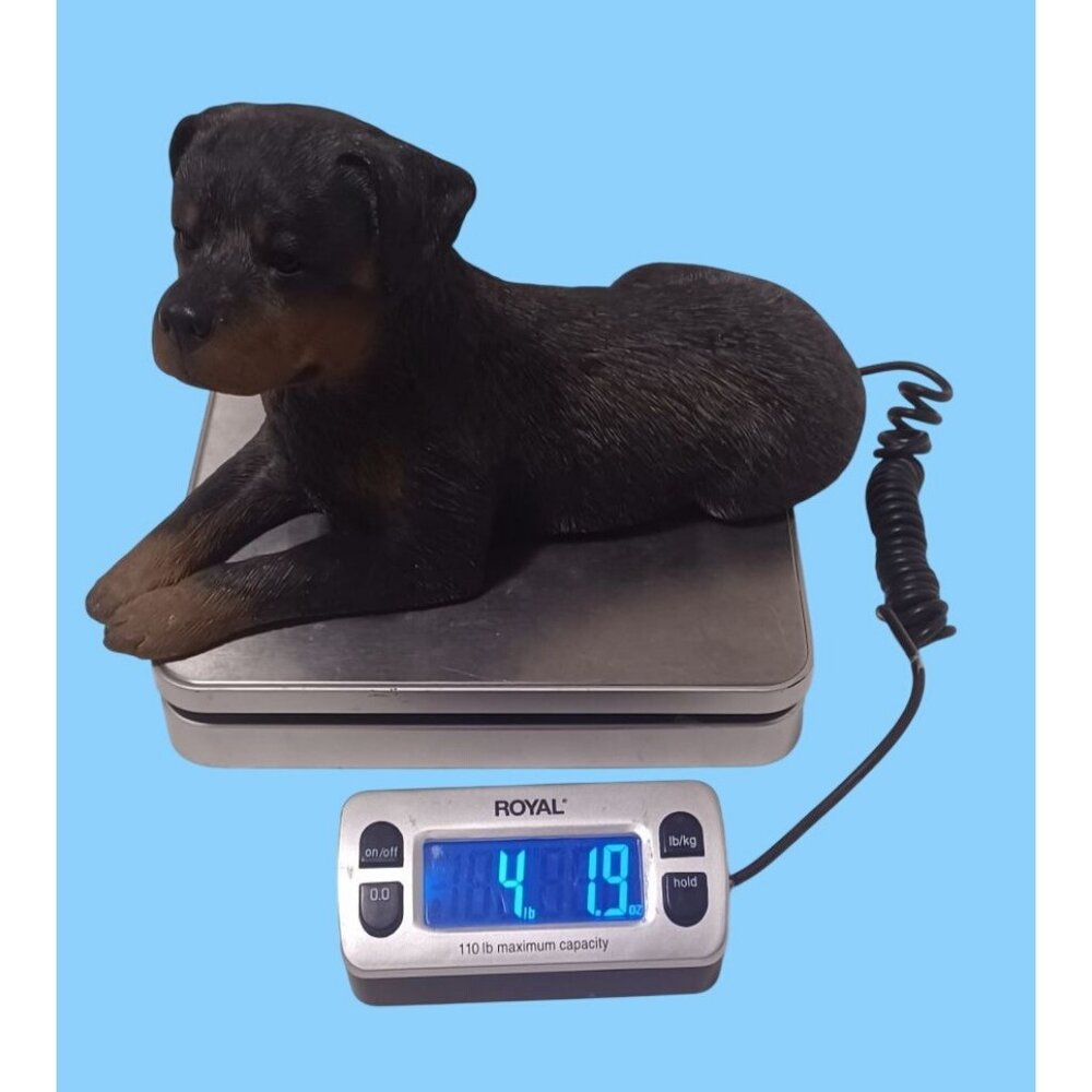 Vintage Sandicast Rottweiler Dog Sculpture 193 figurine Signed Sandra Brue 10'' - Picture 4 of 13